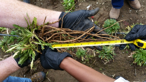 41507B84-7E07-420E-AE80-A5D43F49E705