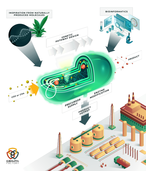 5ee8419dc49161156af5825a_microbe-03