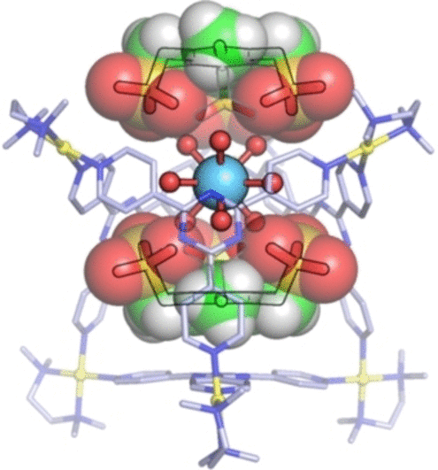 Selective confinement of rare earth metal hydrates in host molecules