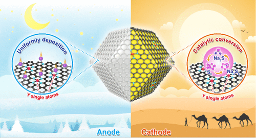 Images_medium_ja2c07655_0007