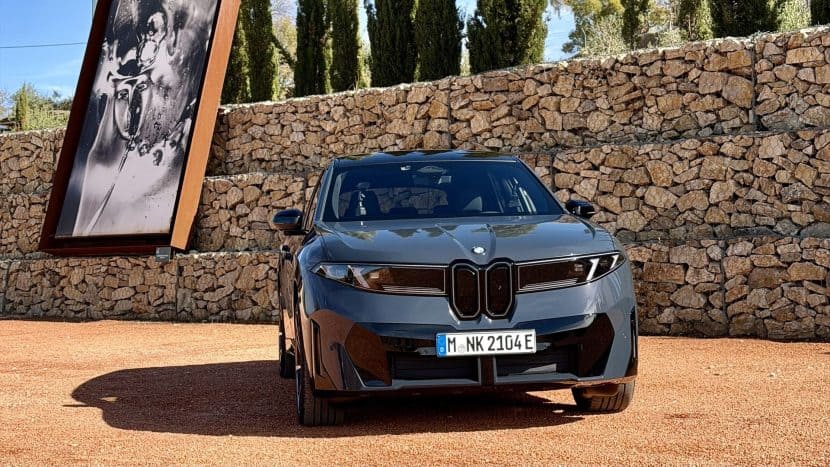 POLARIZED GRAY BMW IX3 01