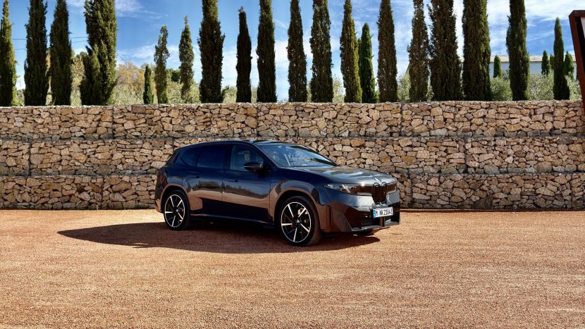 POLARIZED GRAY BMW IX3 03