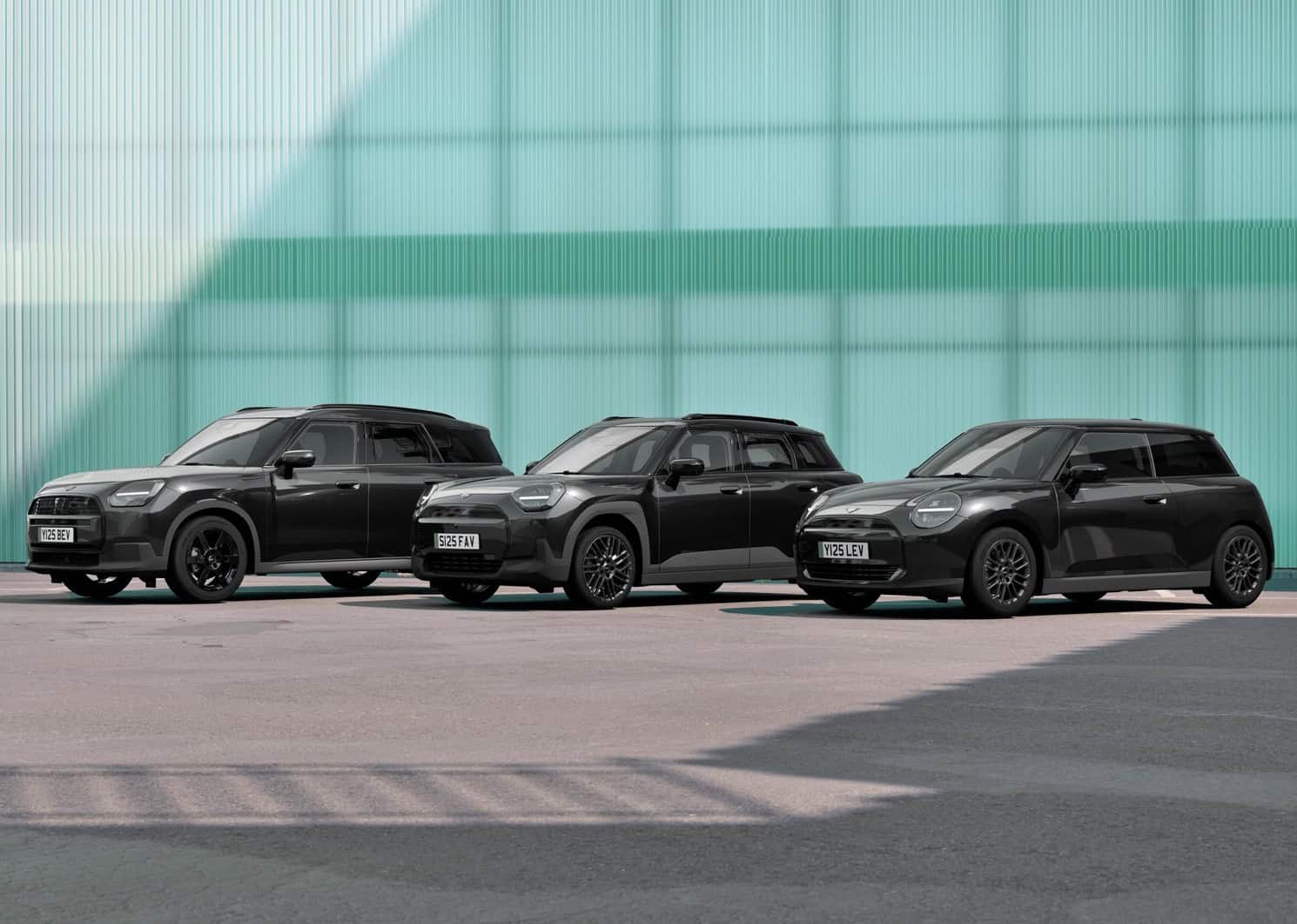 MINI BLACKYARD 15