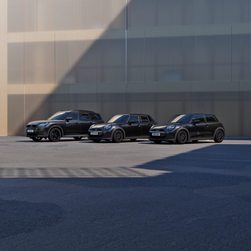 MINI BLACKYARD 13